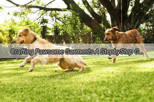 Crafting Pawsome Garments A StepbyStep Guide to Knitting Furry Paws for Your Dog